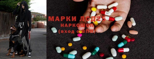 спиды Арсеньев