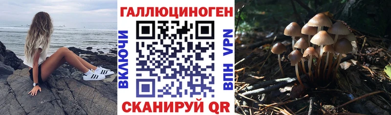 Псилоцибиновые грибы мухоморы  Елабуга 